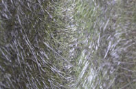 Perranwell Station fibreglass roof work